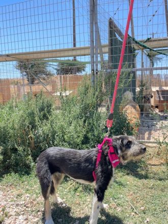 Wilma - Sonnenschein fürs Leben!