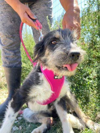 Wilma - Sonnenschein fürs Leben!