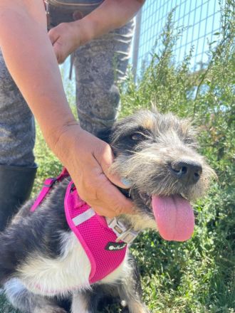 Wilma - Sonnenschein fürs Leben!