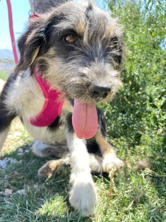 Wilma - Sonnenschein fürs Leben!