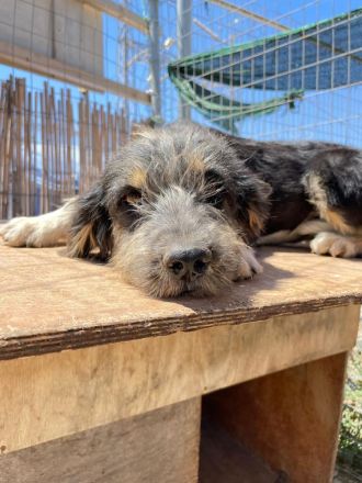 Wilma - Sonnenschein fürs Leben!