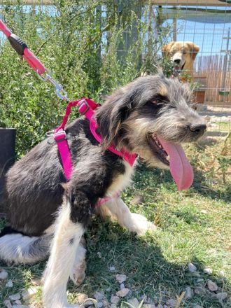 Wilma - Sonnenschein fürs Leben!