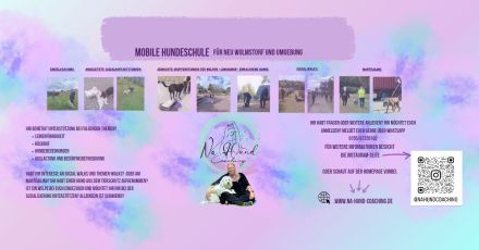 Mobiles Hundetraining in Neu Wulmstorf und Umgebung