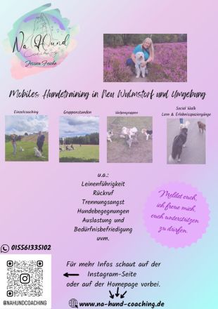 Mobiles Hundetraining in Neu Wulmstorf und Umgebung