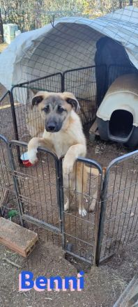 Benji und Benni, 07/23 - wollen die Welt entdecken