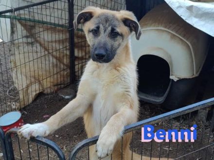 Benji und Benni, 07/23 - wollen die Welt entdecken