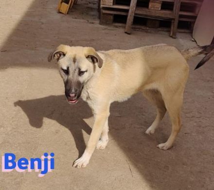 Benji und Benni, 07/23 - wollen die Welt entdecken