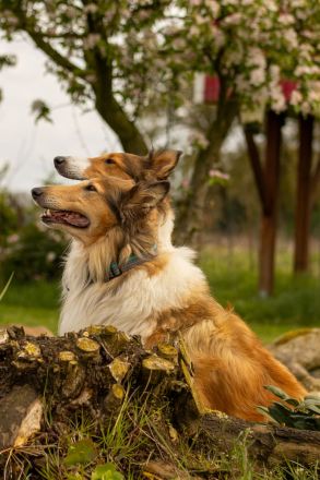 Von der Bockstedter Beeke