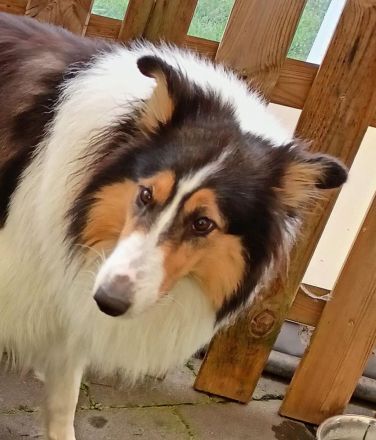 Von der Bockstedter Beeke