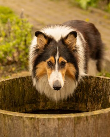 Von der Bockstedter Beeke