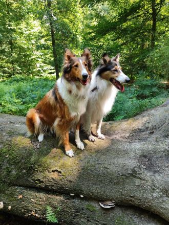 Von der Bockstedter Beeke