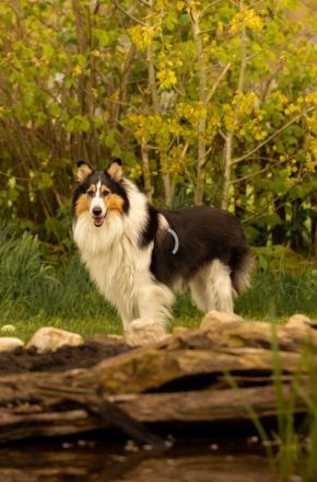 Von der Bockstedter Beeke