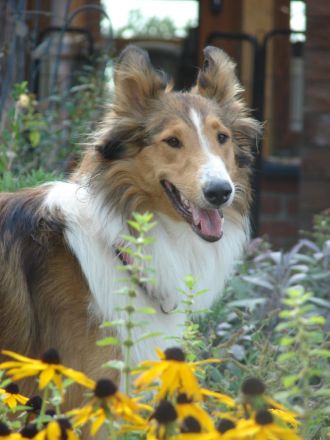 Von der Bockstedter Beeke