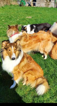 Von der Bockstedter Beeke