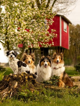 Von der Bockstedter Beeke