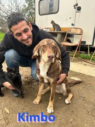 Kimbo, 01/23 - Rohdiamant sucht Feinschliff