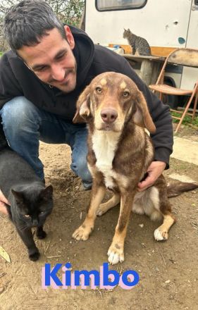 Kimbo, 01/23 - Rohdiamant sucht Feinschliff