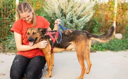 Sandro - freundlich, ruhig, verträglich - möchte Dein Herzblatt sein