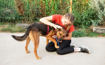 Sandro - freundlich, ruhig, verträglich - möchte Dein Herzblatt sein