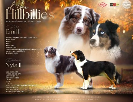 Wurfankündigung Herbst 2024