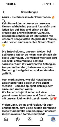 CANE CORSO Welpen Familienaufzucht im Tal