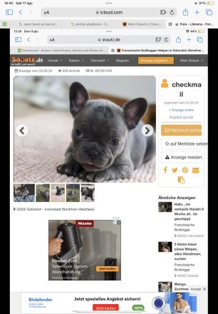 Diebstahl Anzeige Nr. #281561043