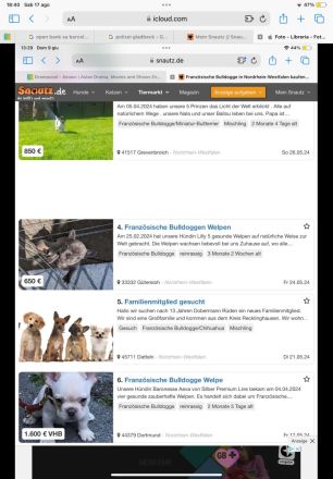 Diebstahl Anzeige Nr. #281561043