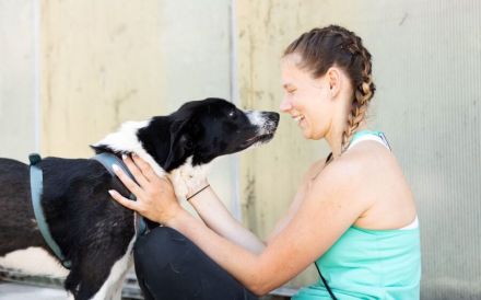 Reah wünscht sich ein Zuhause!
