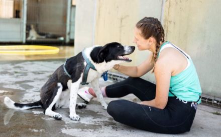 Reah wünscht sich ein Zuhause!
