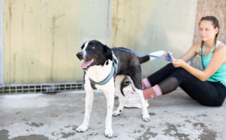 Reah wünscht sich ein Zuhause!