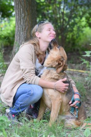 Podrik, freundlicher, sehr verschmuster Handicap Rüde, knapp 3 Jahre alt, 40 cm, Dreibeinchen