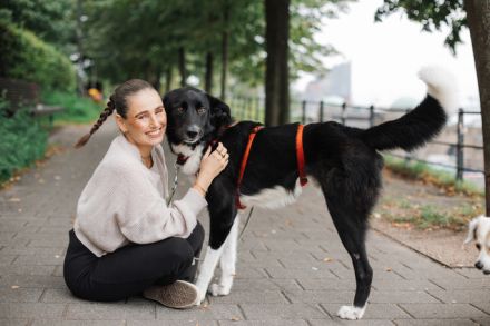 Lino sucht sein Für-Immer-Zuhause