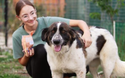 Coco sucht liebevolle Menschen