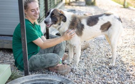 Coco sucht liebevolle Menschen