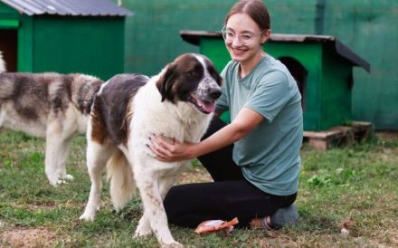Coco sucht liebevolle Menschen