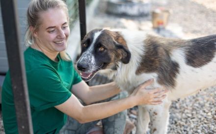 Coco sucht liebevolle Menschen