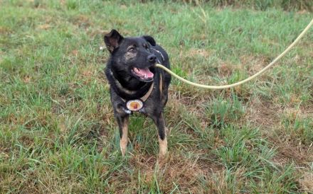 Dieter sucht sein Glück