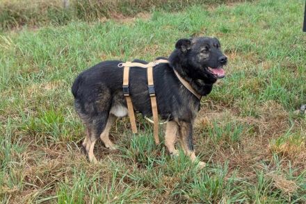 Dieter sucht sein Glück