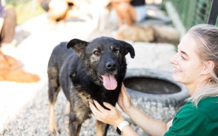 Dieter sucht sein Glück