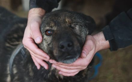 Dieter sucht sein Glück