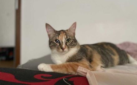 Hanny und Nanny warten schon auf dich