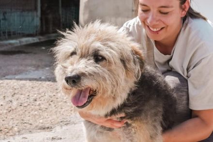 Liebenswerter Strubbel sucht ein einfühlsames Zuhause
