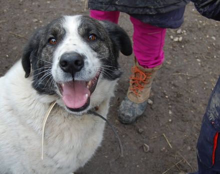 verschmuste CHARLINE wünscht sich eine Familie