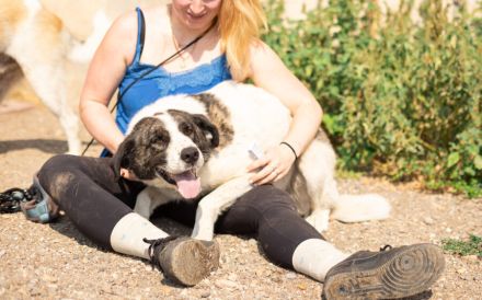 verschmuste CHARLINE wünscht sich eine Familie