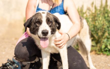 verschmuste CHARLINE wünscht sich eine Familie