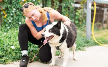 Urmel ist bereit für sein Zuhause