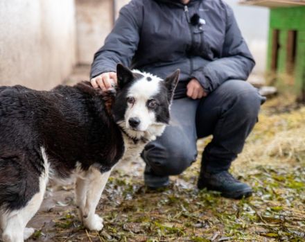 Urmel ist bereit für sein Zuhause