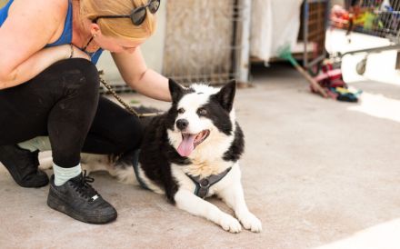 Urmel ist bereit für sein Zuhause
