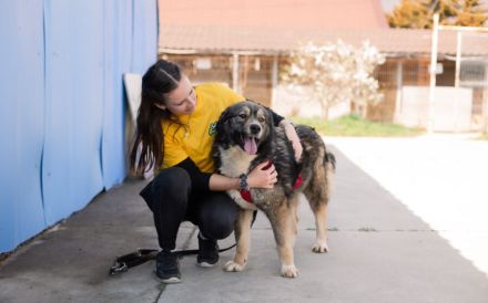 Sabine - offen, fröhlich und wunderhübsch. Adopt. Don´t shop.