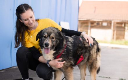 Sabine - offen, fröhlich und wunderhübsch. Adopt. Don´t shop.